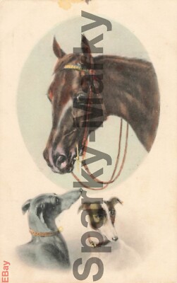 Stallkumpels Serie 7 Nr1 Theo Stroefer (C Reichert) Vintage Postkarte G11