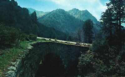 Vintage Postcard Loop-Over Great Smoky Mountains National Park Newfound Gap