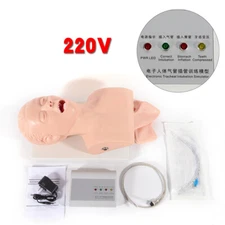 Airway Management Trainer Study Adult Oral Intubation Manikin Teaching Model NEW