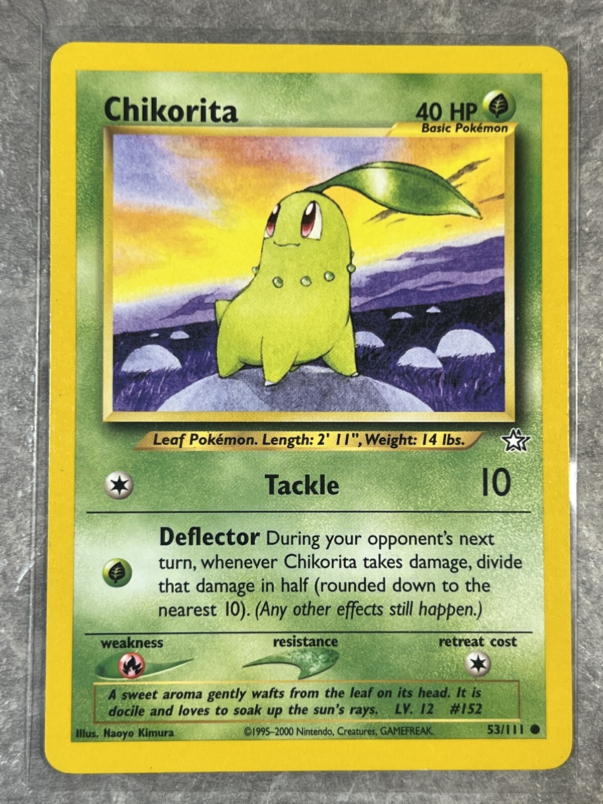 Chikorita 53/111 Pokemon TCG Vintage  Neo Genesis Regular Common (Light Play) 3