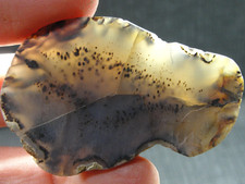 SLICE - GORGEOUS - LARGE SLICE - SLAB - FOR JEWELRY - M-4929 - 39.28g LAPIDARY