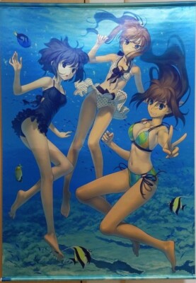 WITCH ON THE HOLY NIGHT Aozaki aoko kuonji alice tapestry 1030