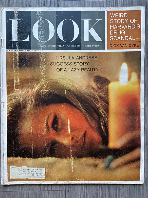 Look Magazine Nov 5 1963 Ursula Andress Steichen Harvard Drug Scandal D.Van Dyke