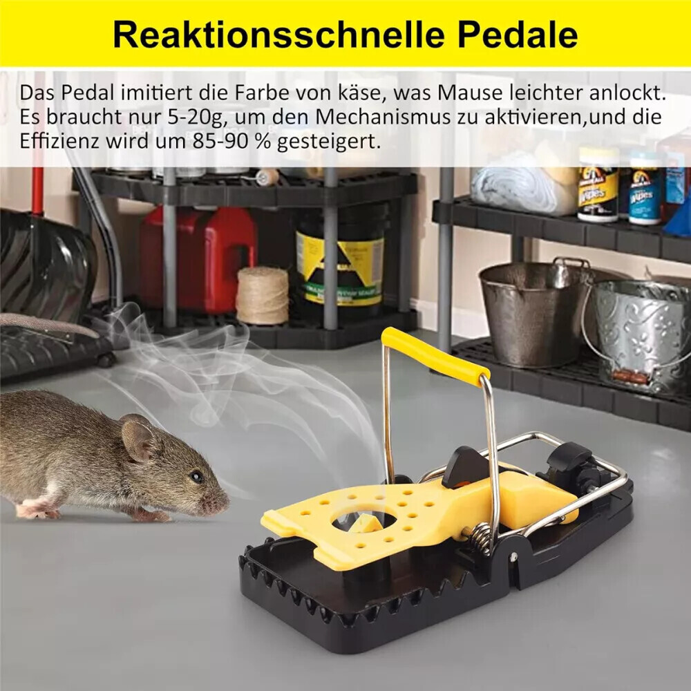 Bild 15 von 24