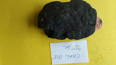 Coal Specimen sample Mineral Stone Bituminous Coalminer 95 gr