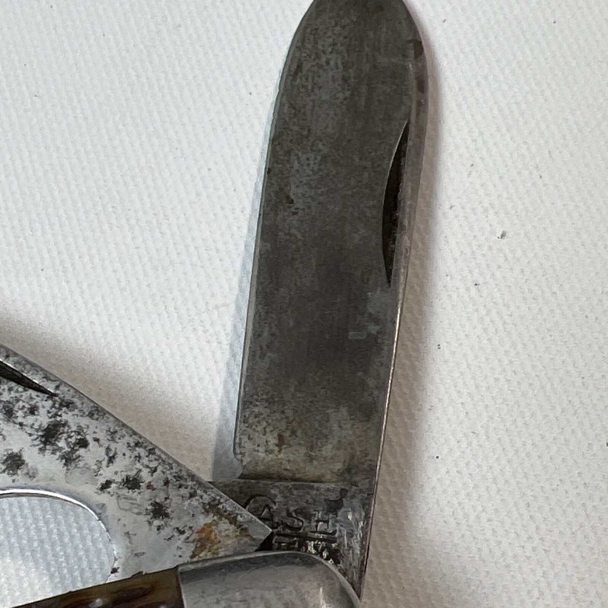 まつみ（22）　裁断済み Vintage Case XX 6229 1/2 Tadpole Folding Knife Red Bone | eBay