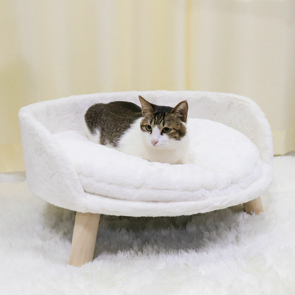 Cat hotsell chair bed