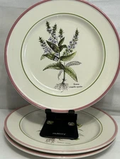 Primula Decorata a mano Salad Plate Mixture Of Herb Garden Italy