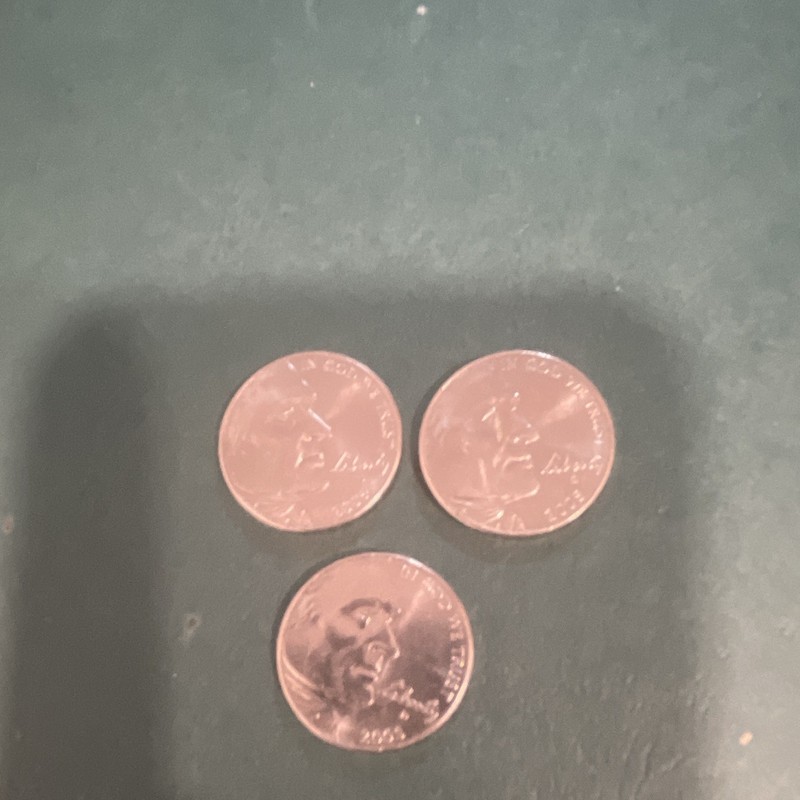 2005 D rare Jefferson buffalo nickel  (3)