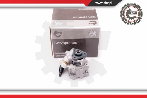Esen SKV Servopumpe Servo-Pumpe Passend FüR Land Rover Freelander LN 10SKV239-image