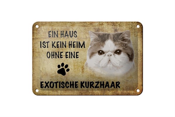 Blechschild Spruch 18X12 Cm Exotische Kurzhaar Katze Metall Deko Schild-image