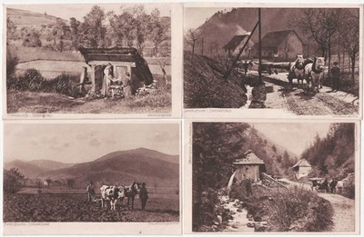 Bundle, 4 Old Postcard Black Forest, from the Series Black Forest Idyll, unused