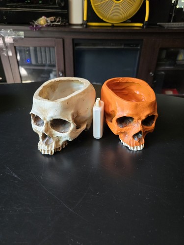 Zombie Skeleton Head Skull Dead Bowls Containers