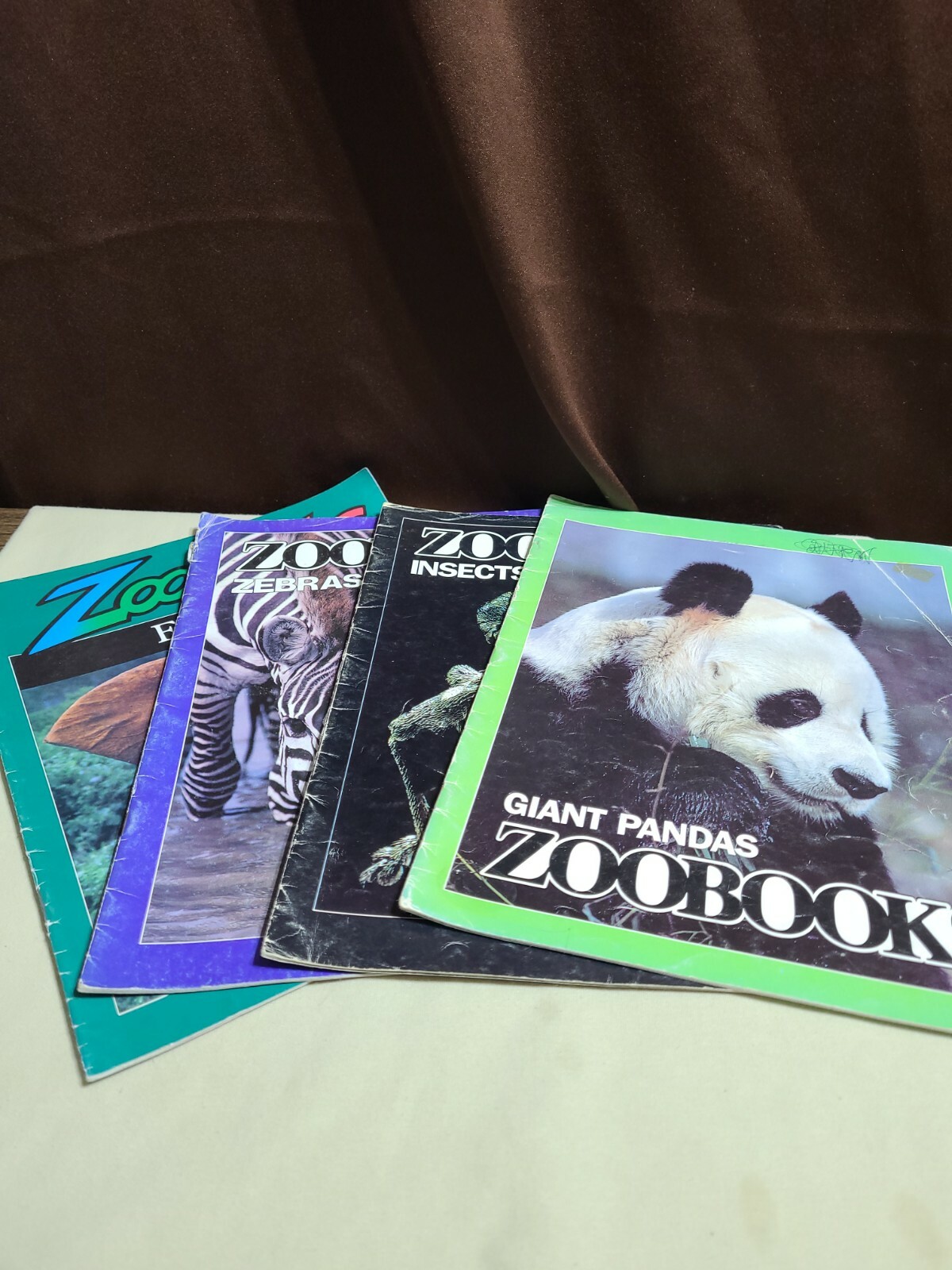 Childrens ZooBooks Lot 4 Eagles & Pandas , zebras , insects & elephants