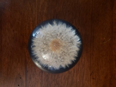 VINTAGE TARAX INFINITY DANDELION SEED PUFF PAPERWIGHT HANDCRAFTED IN CANADA EUC