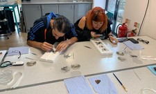 Entomology workshop - learn to set a Beetle & butterfly - full day August 22nd