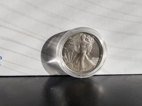 2024 W Burnished 1oz .999 American Silver Eagle ASE USA Dollar 1$ Liberty Troy