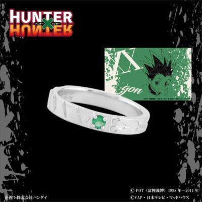 Pre-Order Hunter x Hunter Eterno recit Ring Gon Killua Kurapika