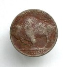 Foto 5 di 6