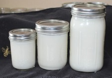 100 Organic Grass fed Beef Tallow From Small New York Farm Rendered 3x White