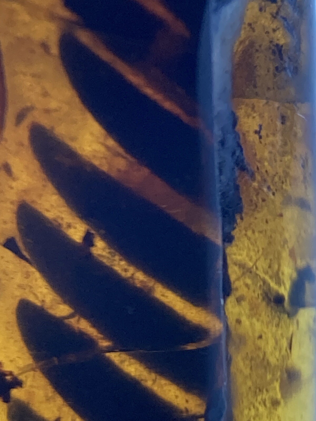 Picture 6 of 6