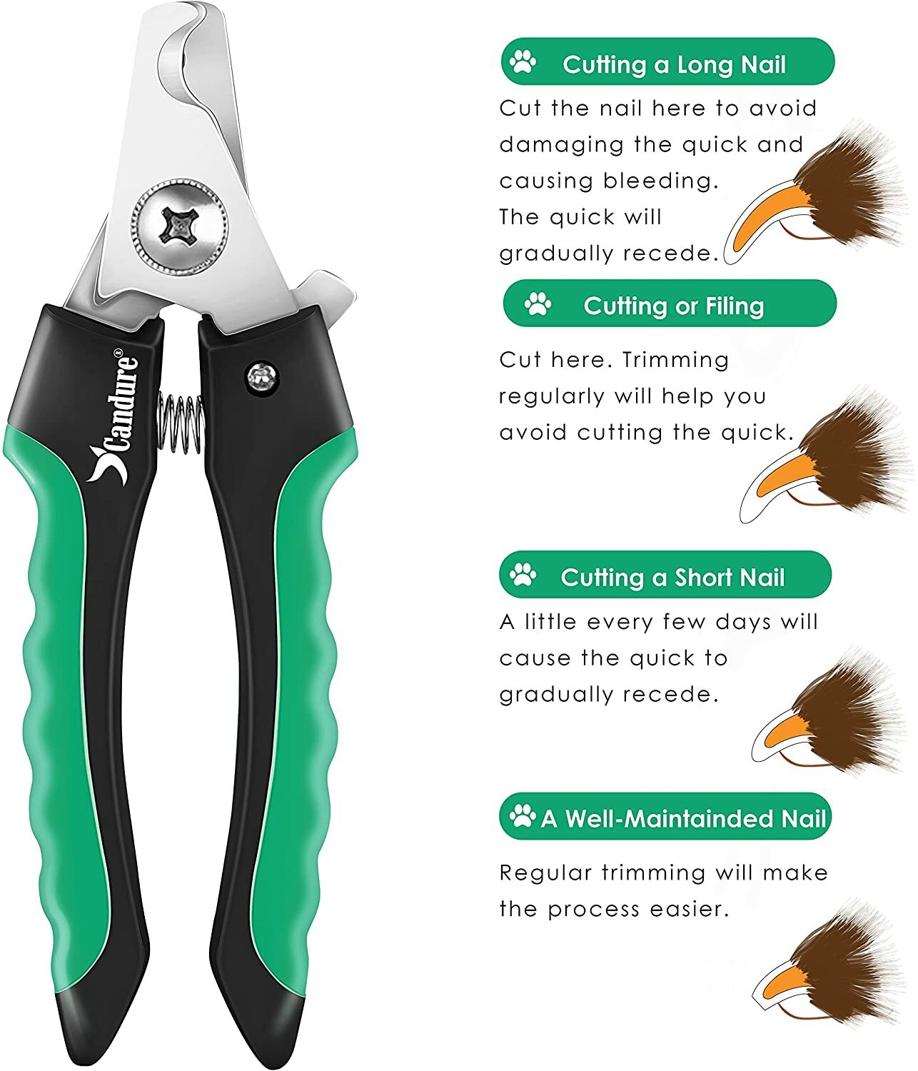 thunderpaws nail clippers