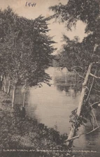 Lake View Lanagan Missouri Nature Scene Divided Back Vintage Postcard