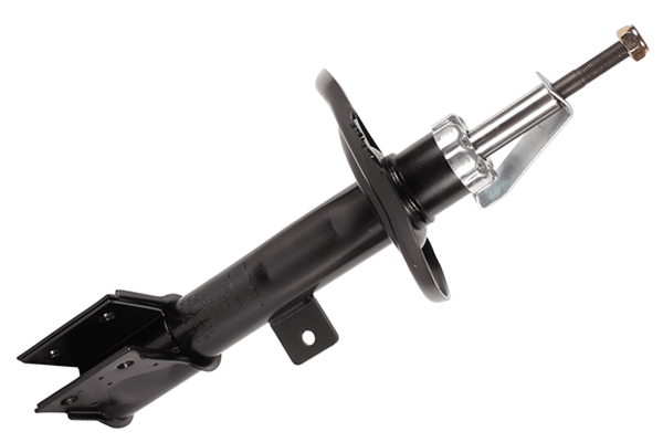 StoßDäMpfer Vorderachse Links FüR CitroËN Peugeot C4 II DS4 Kasten/SchräGheck-image