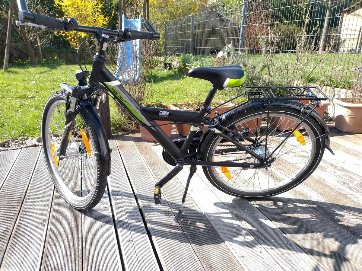 24 Zoll Pegasus Biciclette Pegasus Fahrrder Mit 24 Zoll Online Kaufen