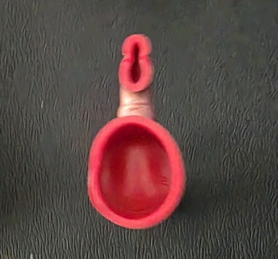 Picture 5 of 6