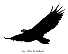 Wildlife / Birds - Eagle 1 Soaring Flying 6Yrs Film Outdoor Decal Vinyl Sticker