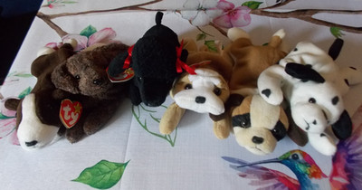 Ty Beanie Babies Lot Of 6 Dogs Bernie, Bruno, Wrinkles, Dotty, GiGi and Fetcher.