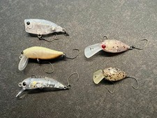 Area Trout Surface LuresCrapea, Shikeider, Wow, Fat Moca, Moca
