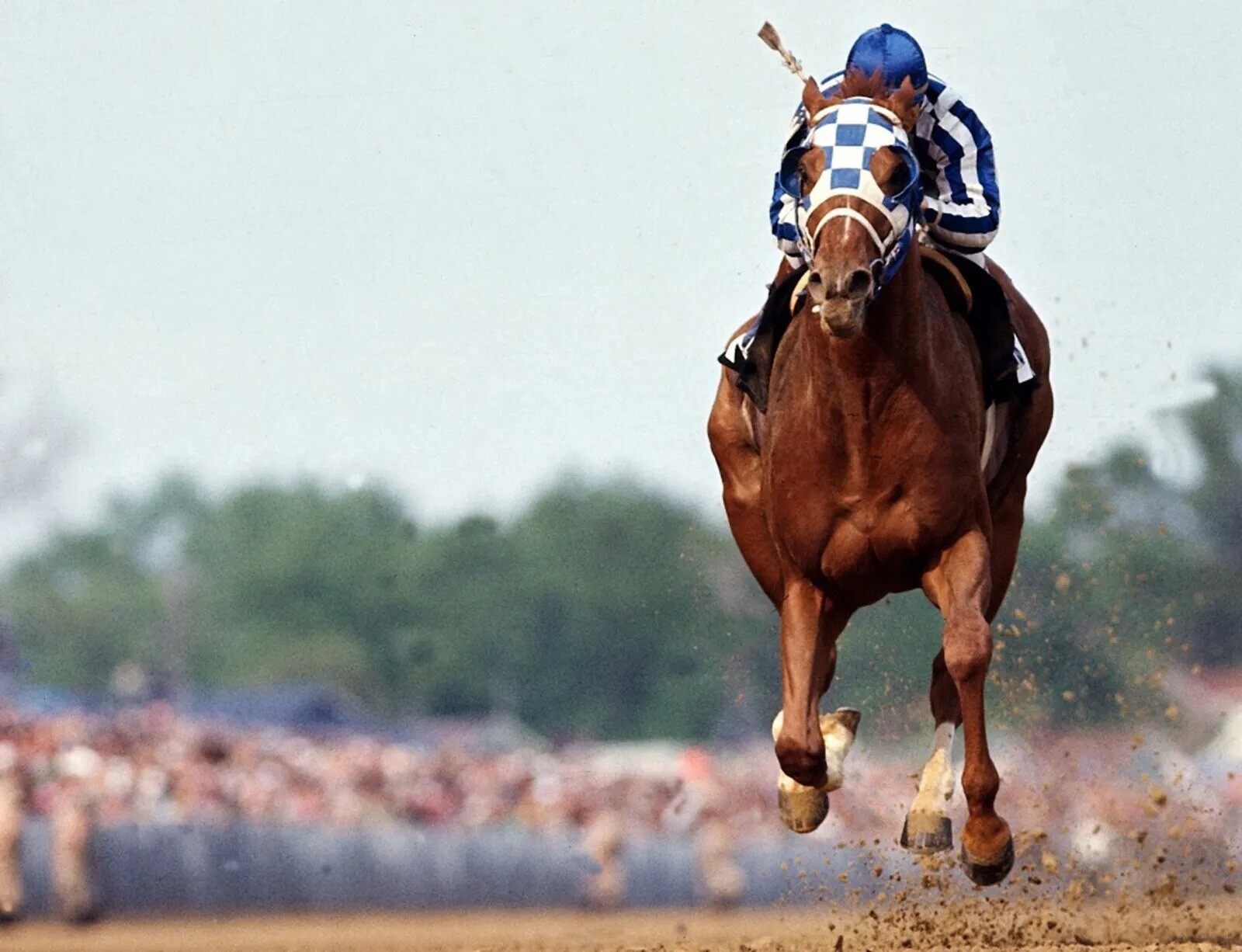 Secretariat Wins Kentucky Derby at Churchill Downs 8x10 Photo Print