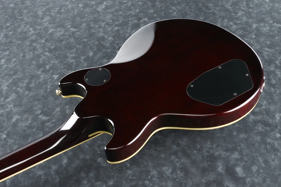 IBANEZ AR420-VLS Artista E-Guitarra 6 Cuerdas - Sunburst De Violín Nuevo - Imagen 2 de 4