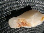 Bild 6 von 12