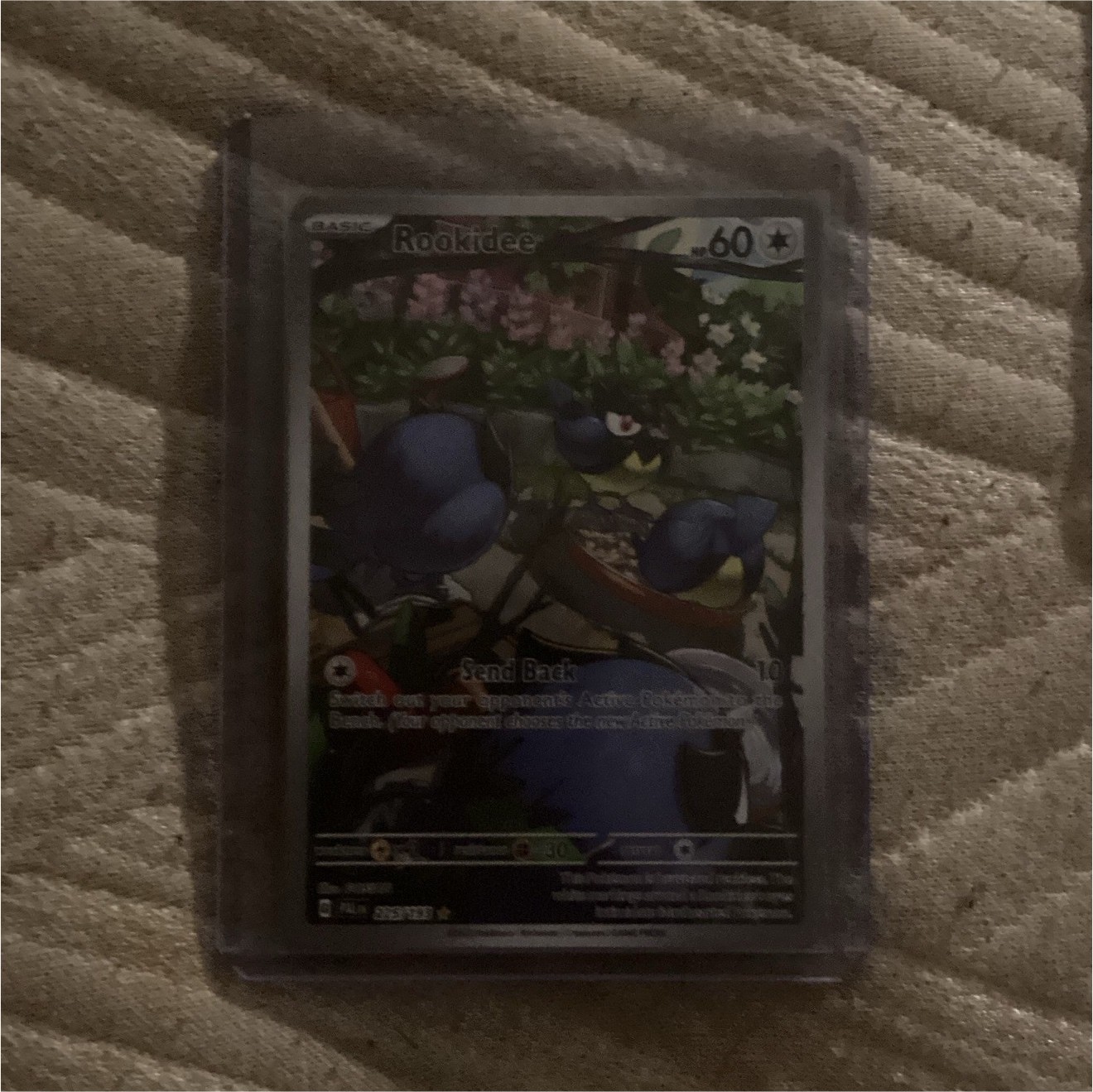 Pokemon TCG Rookidee 225/193 Illustration Rare Holo Full Art Paldea Evolved