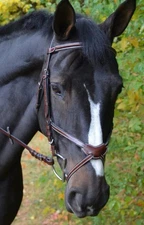 KL Select Chase Figure 8 Bridle with calfskin reins lined with rubber - Oversize
