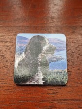 Blue Roan Cocker Spaniel magnet Cocker Spaniels fridge magnets dog Cockers dogs