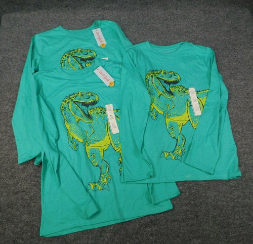 Cat \u0026 Jack Boys Dinosaur Graphic Long 