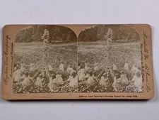 Keystone Stereoview June Carnival Dancing Round the Daisy pole 1900