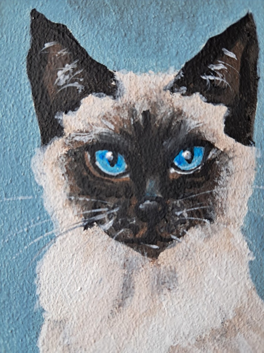 Siamese Cat Painting Pet Original Art Framed 7 by 5 Cat Blue Eyes