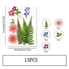 13PCS Real Pressed Dry Flower collection, pink Flower with leaf stem FSS504