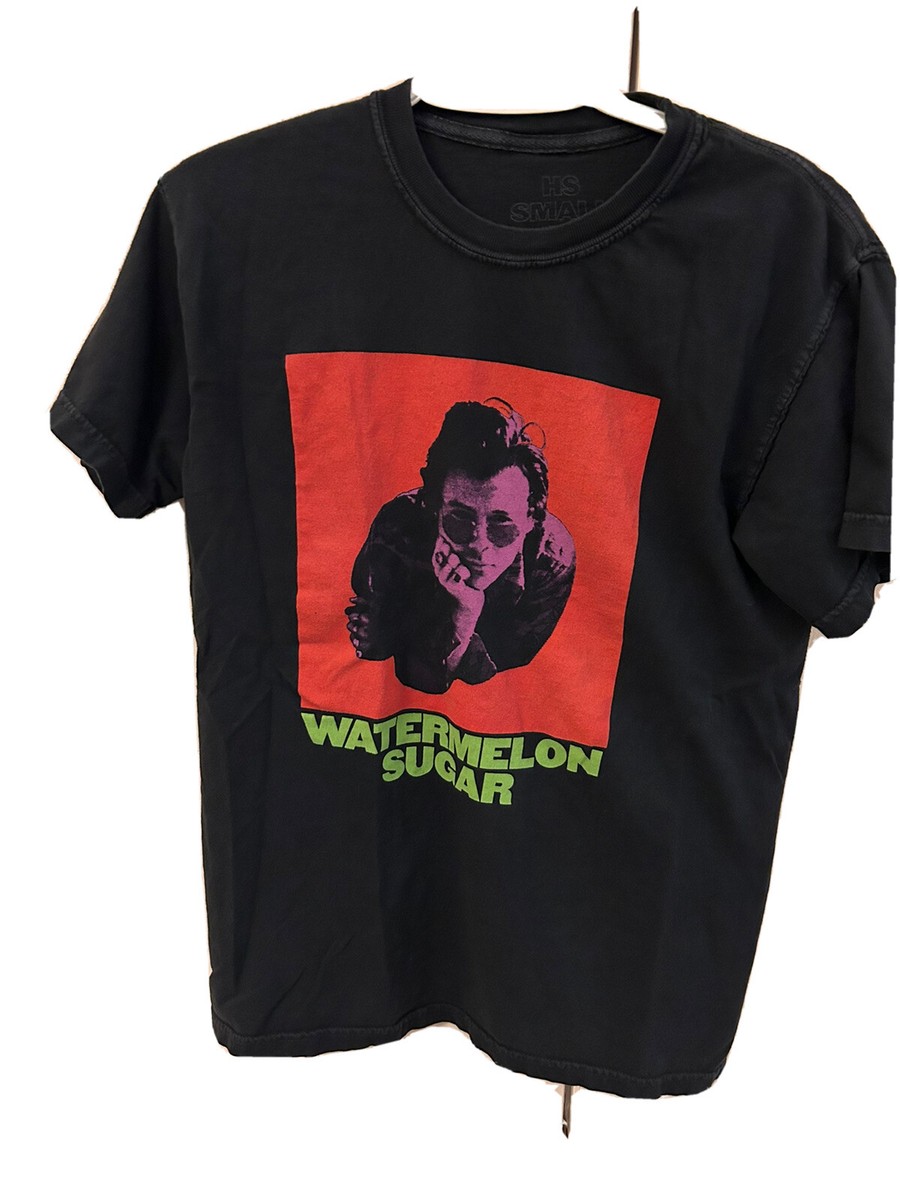 Tourism Aliexpress Balenciaga Speed Trainer Harry Styles