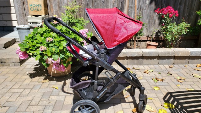 ebay uppababy cruz