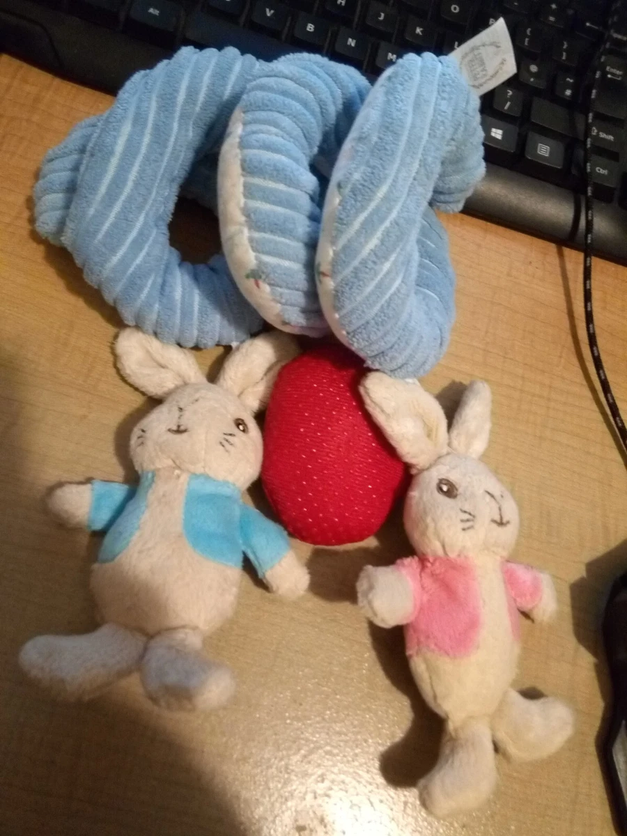 Peter rabbit best sale activity spiral