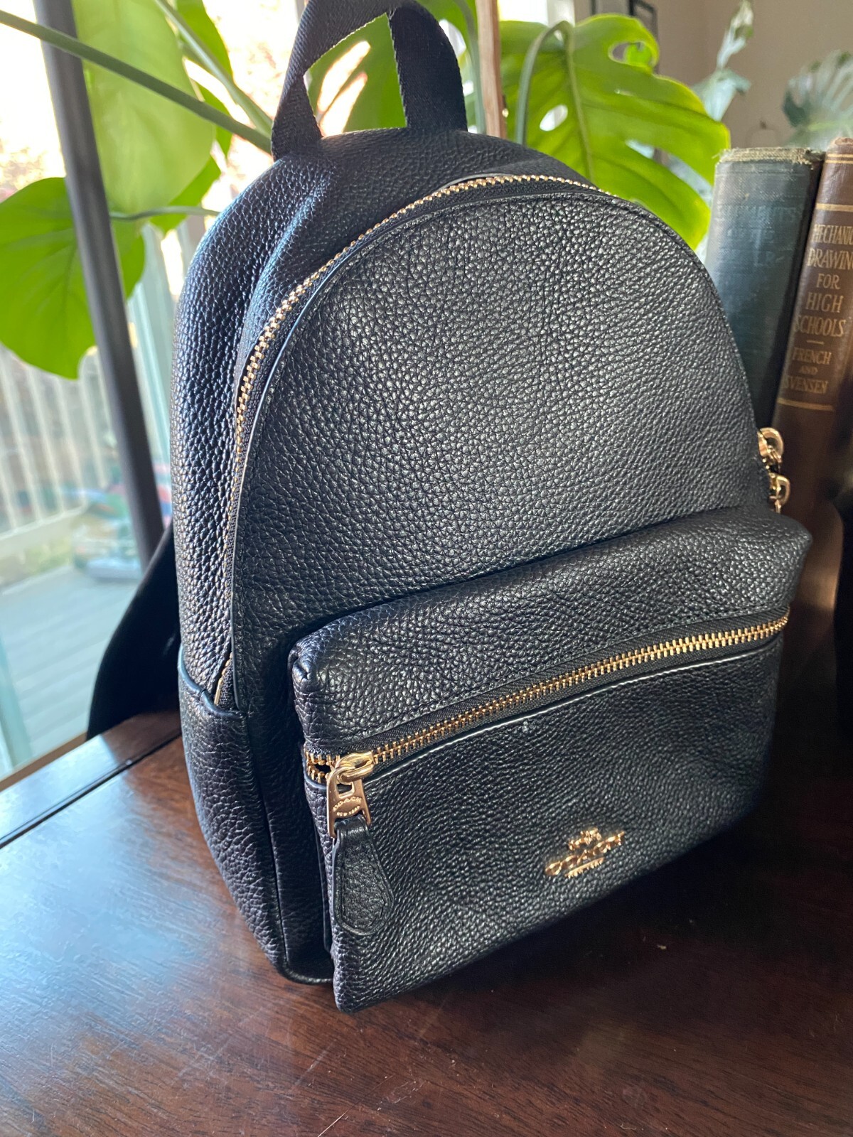 Black Small Coach Backpack - image 6