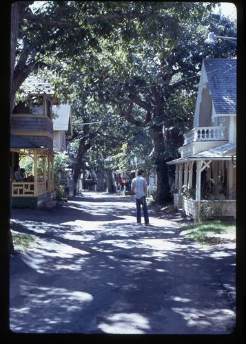 SL39 Slide 1970's Gingerbread Cottages Tree Lined Path 021a