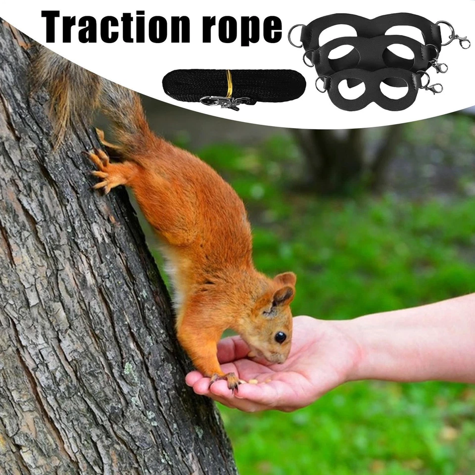 Ремень для груди хомяка белки сцепной веревкой уличный жгут сахарный планер комплект 4 шт. - Изображение 3 из 4