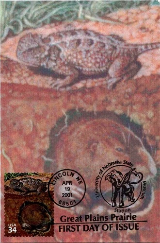Dr Jim Stamps Maximum Card 34c Great Plains Prairie Lizard & Gopher First Day